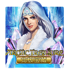  Arctic TreasureJoker